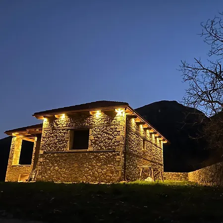 Forest House Chalet Vella